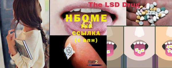 шишки Белокуриха