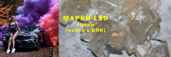 шишки Белокуриха
