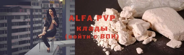 шишки Белокуриха