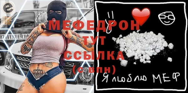 шишки Белокуриха