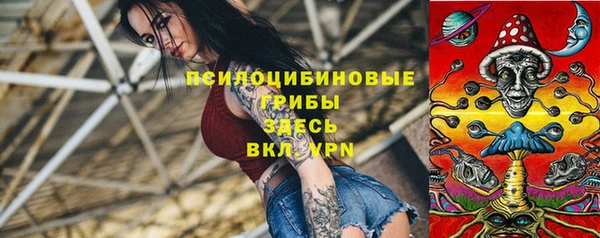 шишки Белокуриха