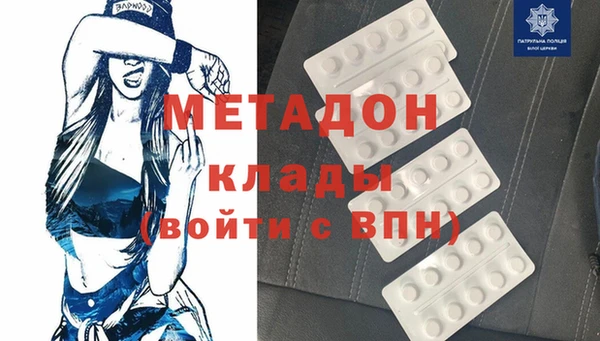 шишки Белокуриха