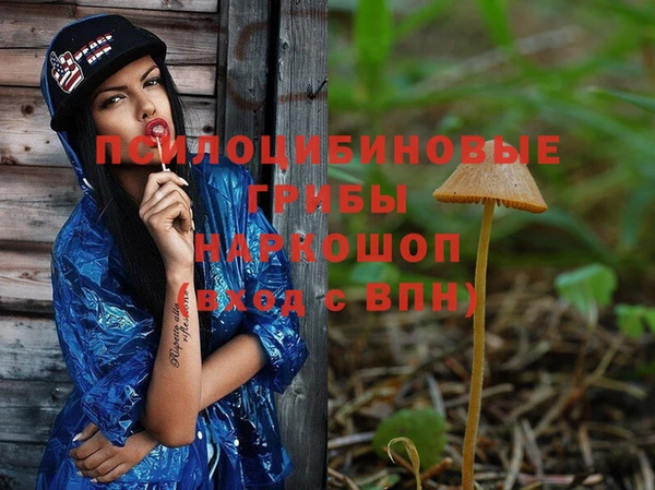 шишки Белокуриха