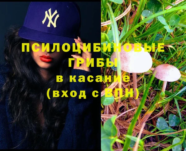 шишки Белокуриха