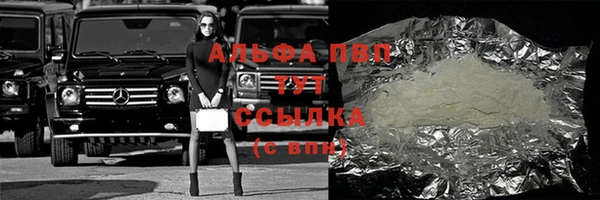 шишки Белокуриха