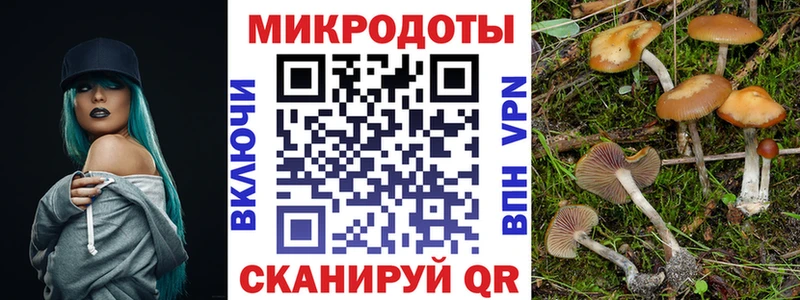 Купить где  Покров  Псилоцибиновые грибы ЛСД 
