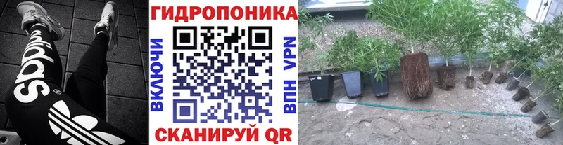 Купить где  Покров  Бошки Шишки Ganja 